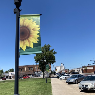Spring Light Pole Banners